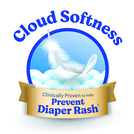 HSC Icon_448x448px_0004_HSC_Silver_Icons_0001_Cloud-Softness